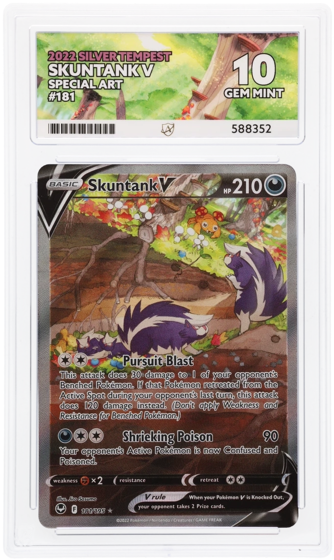 Skuntank V 181/195 - Ace 10